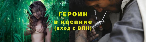 PSILOCYBIN Дмитриев
