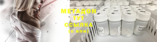 PSILOCYBIN Дмитриев