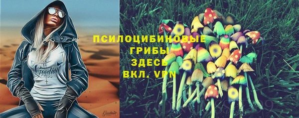 кокс Дмитров