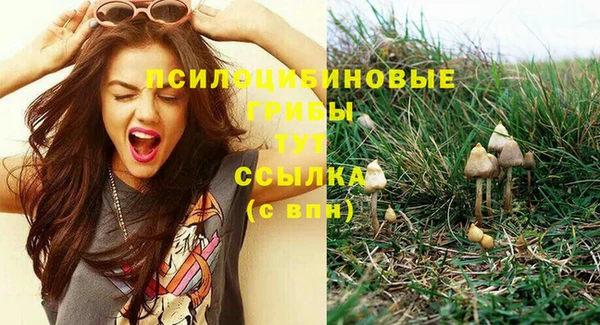 PSILOCYBIN Дмитриев