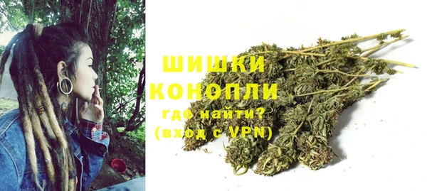 PSILOCYBIN Дмитриев