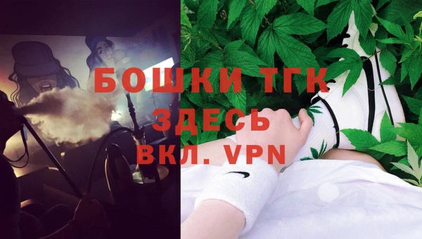 PSILOCYBIN Дмитриев