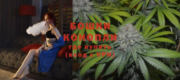 PSILOCYBIN Дмитриев