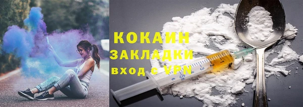 PSILOCYBIN Дмитриев