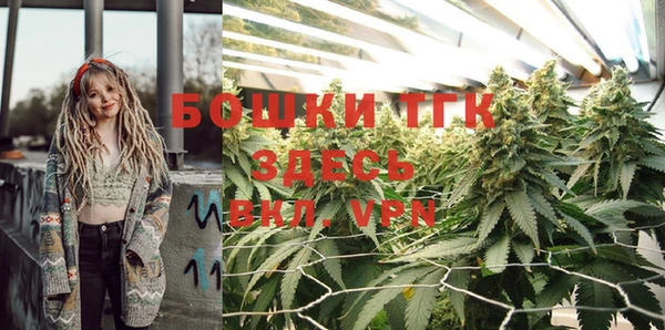 кокс Дмитров