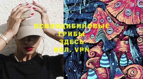PSILOCYBIN Дмитриев