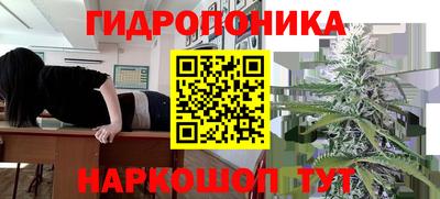 шишки Балаково