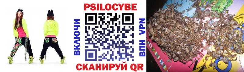 как найти   гидра рабочий сайт  Псилоцибиновые грибы Psilocybine cubensis  Дмитров 