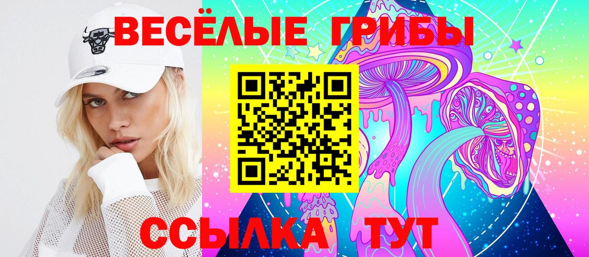 Дмитров  Галлюциногенные грибы прущие грибы  Вход с VPN 
