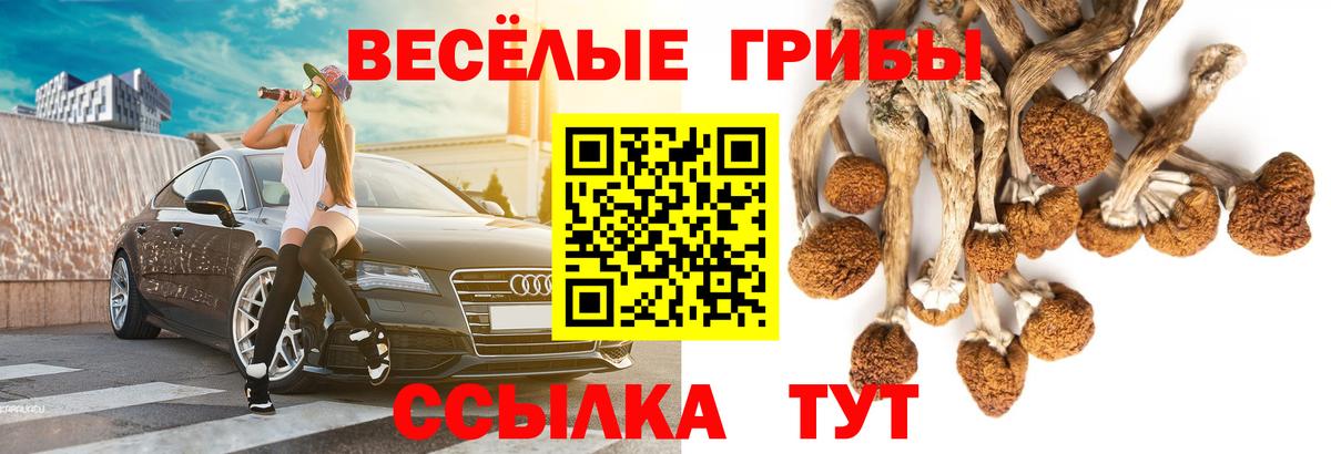 Галлюциногенные грибы MAGIC MUSHROOMS Дмитров